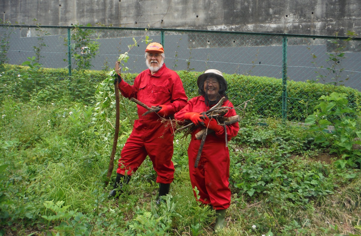 Robert and Keiko Witmer harvesting vegetables in a fileld.